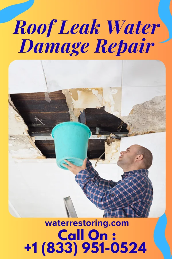 Roof Leak Water Damage Repair in Dallas, GA